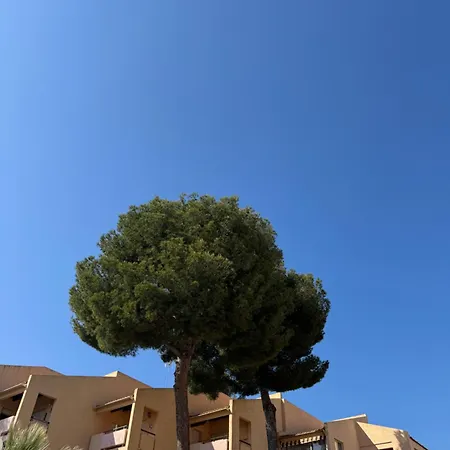 Daire Charmand En Avec Piscine Bandol