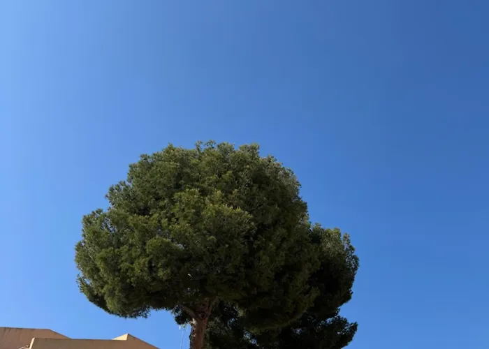 Appartement Charmand En Résidence Avec Piscine Bandol